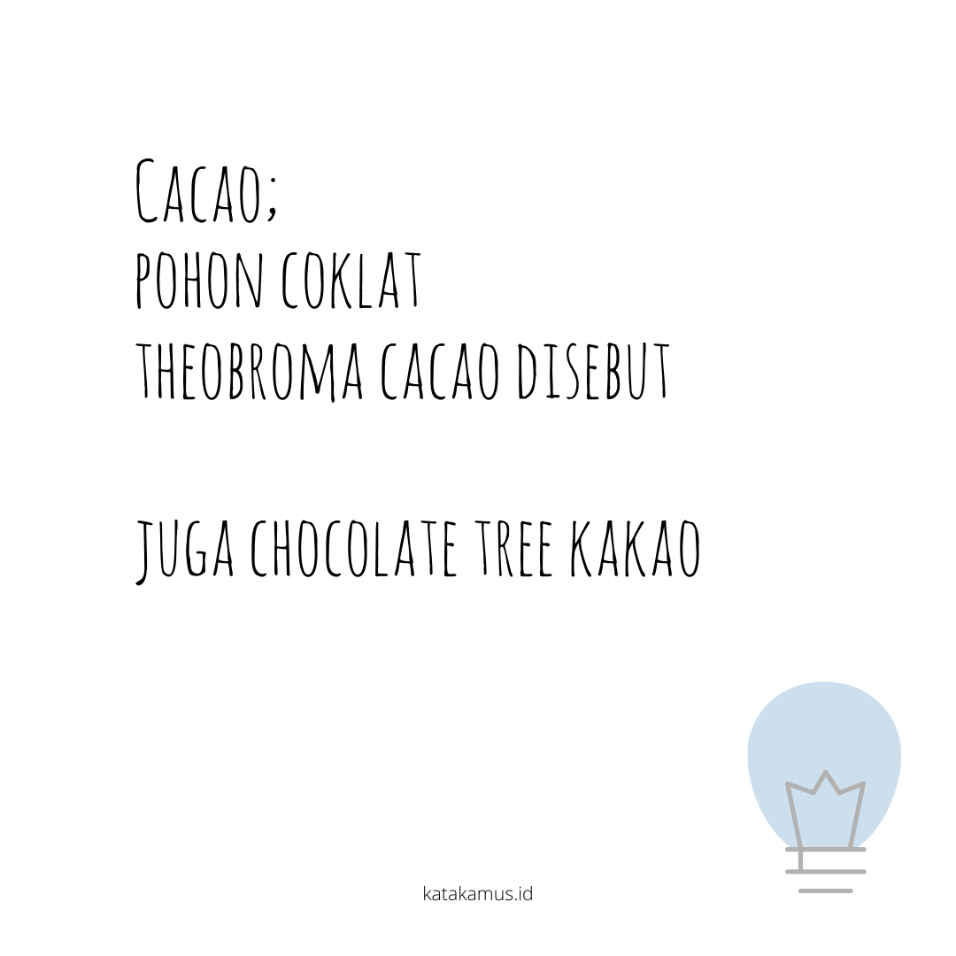 gambar cacao
