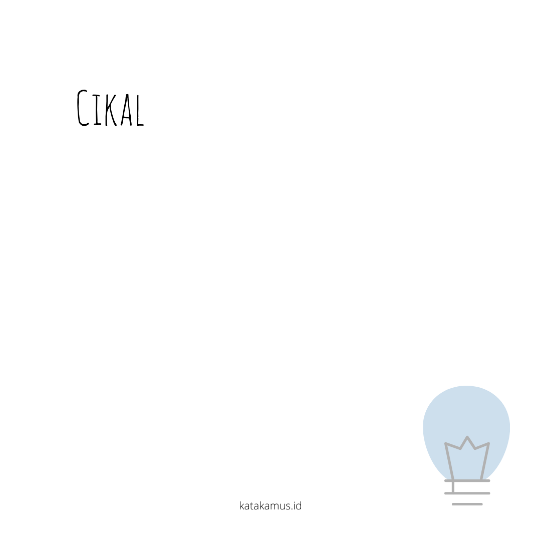 gambar cikal