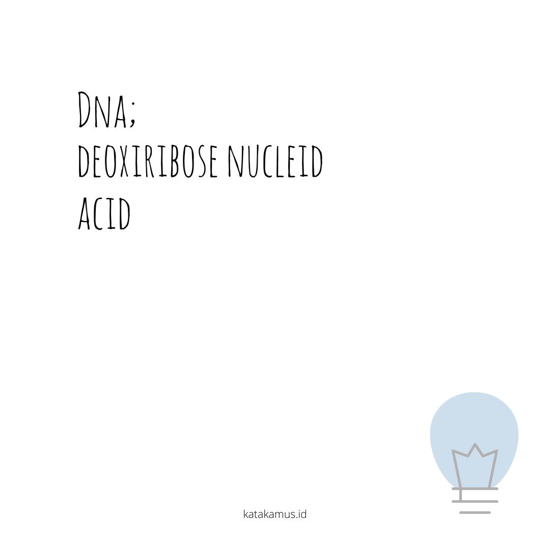 gambar DNA