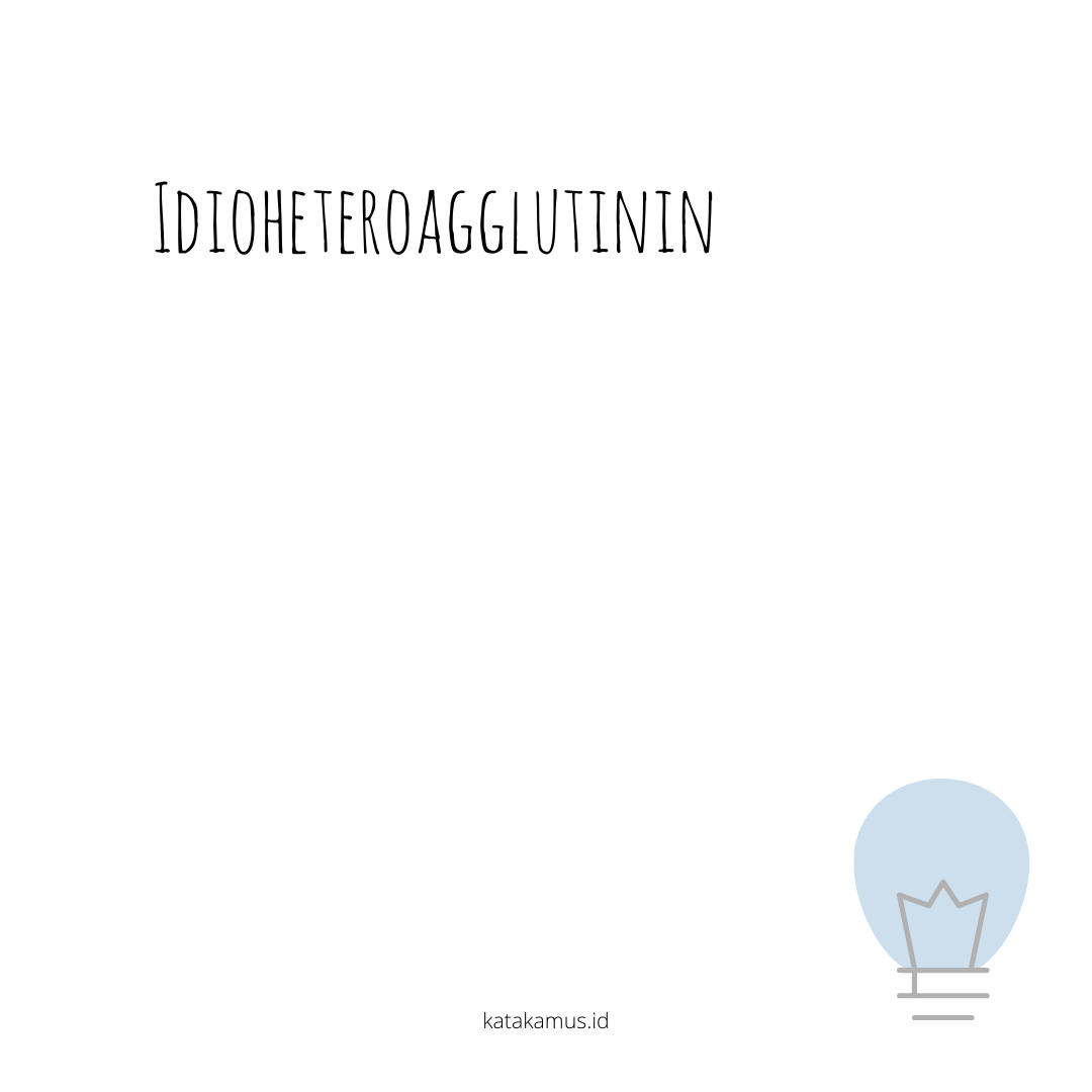 gambar idioheteroagglutinin