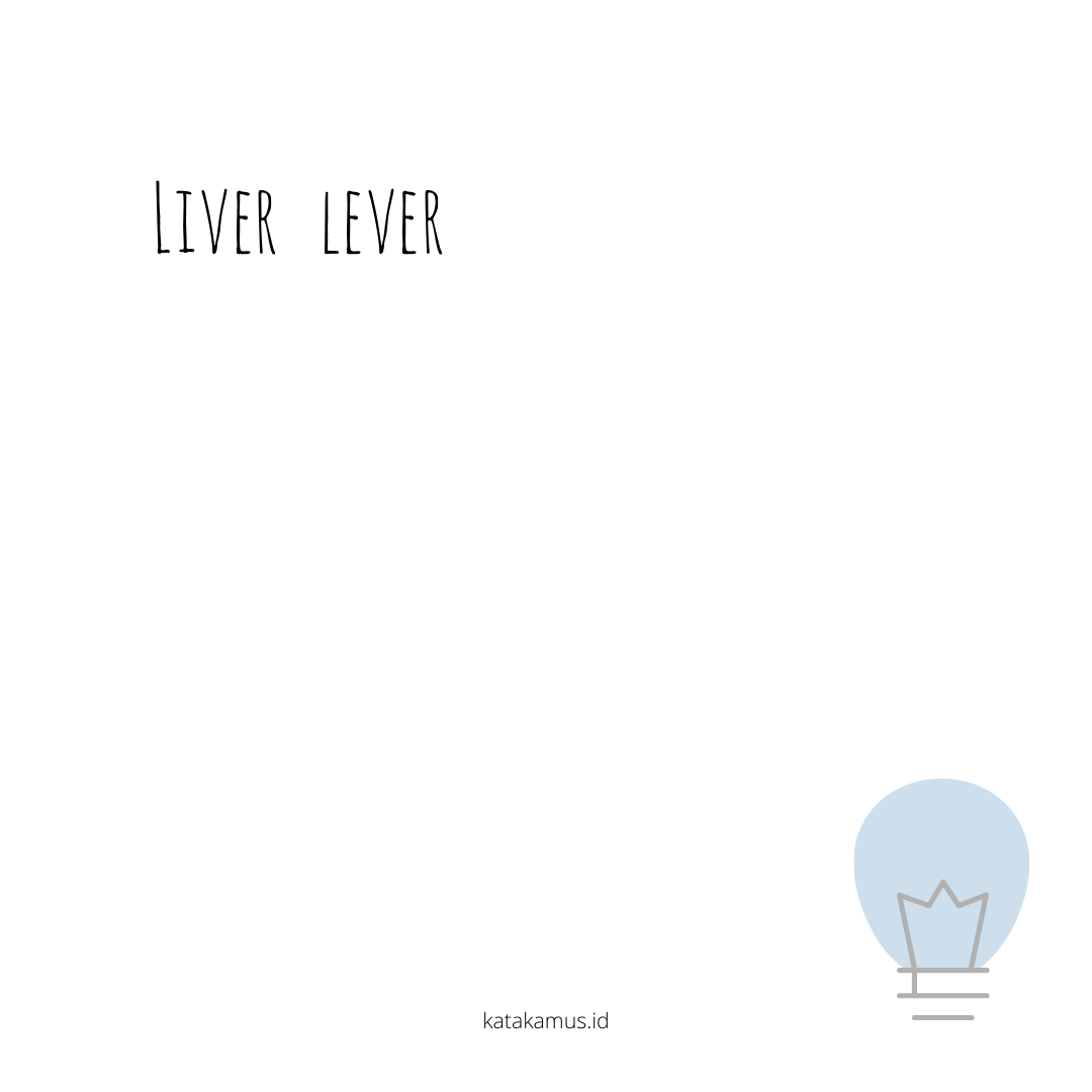 gambar liver - lever