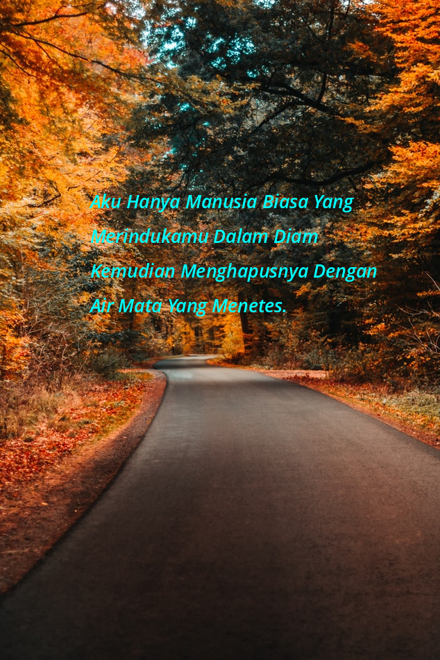  Gambar  Kata  Kata  Aku Diam  Quote Hari Ini