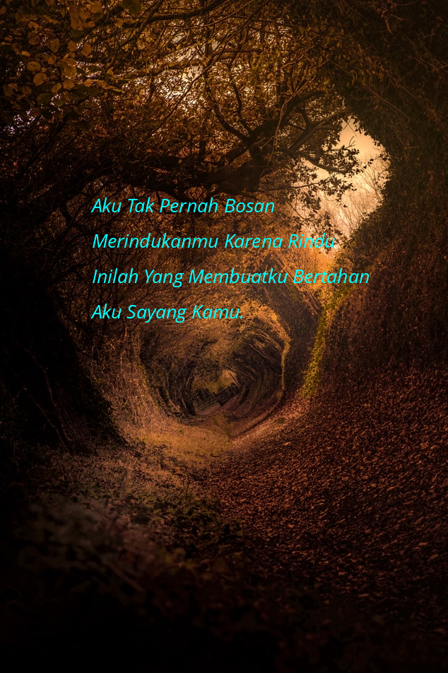 Download Gambar Kata Kata  Aku Sayang  Kamu 