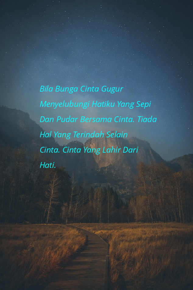 15 Download Gambar Bunga Cinta Galeri Bunga HD 15 Download Gambar Bunga Cinta Galeri Bunga HD