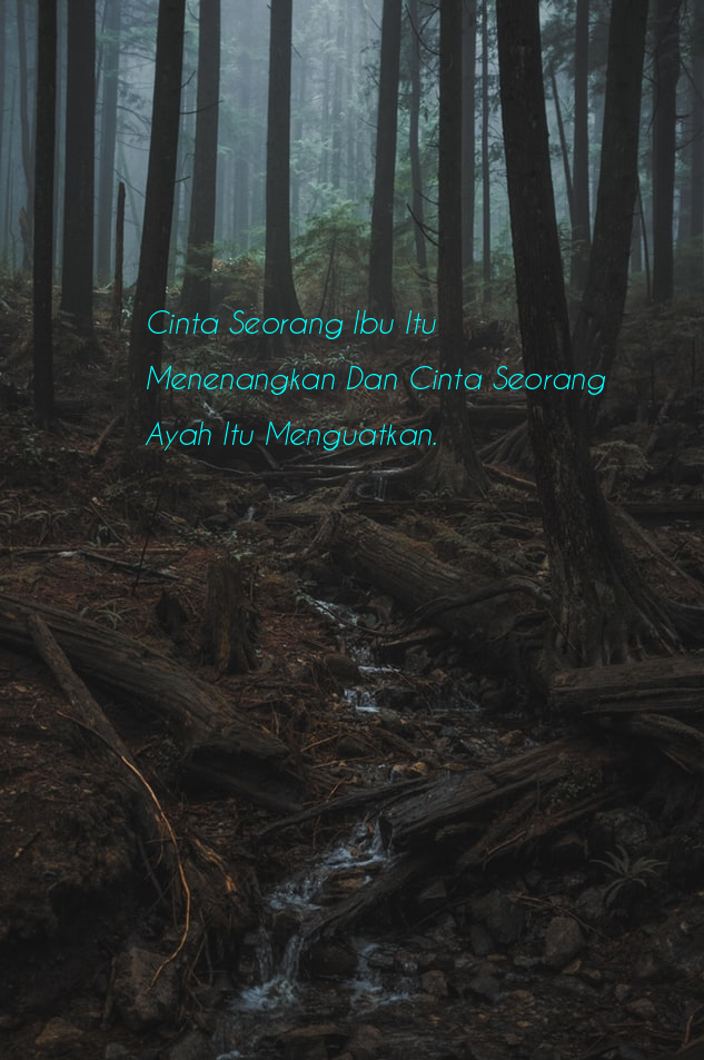 Download Gambar Kata Kata Buat Ayah - Gambar Bijak