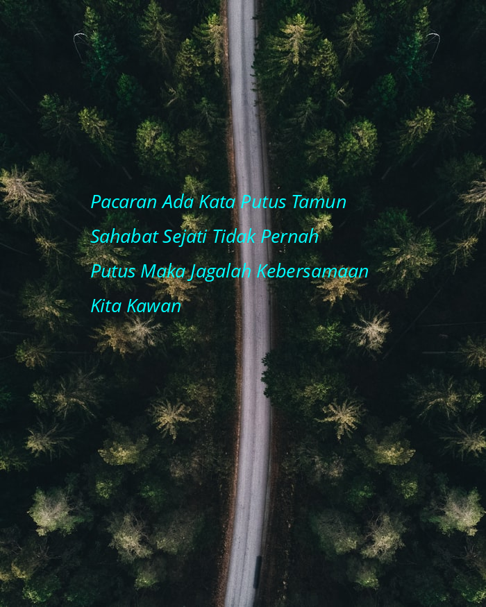 Gambar Kata Sahabat Setia - Gambar Bijak